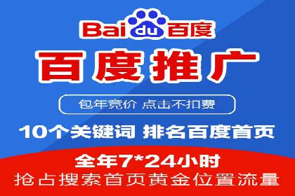 知名SEM公司案例分析：优化策略与成果